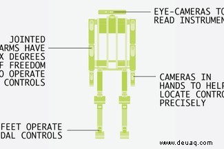 Lernen Sie die Roboter kennen, die Aufgaben übernehmen, die wir lieber nicht übernehmen würden 