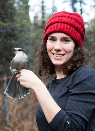 Wie die Krähe stirbt:Die seltsame Welt der Vogelbestattungen 