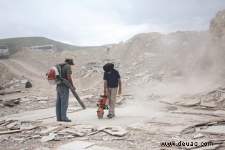 Fossil des ersten bekannten Sitzvogels gefunden 