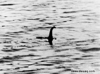 Ungeheuer von Loch Ness:Wie eDNA uns hilft, herauszufinden, was darunter lauert 