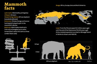 Wer sind die Jäger der seltenen Mammutstoßzähne in Russland? 