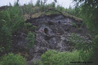 Wer sind die Jäger der seltenen Mammutstoßzähne in Russland? 