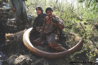 Wer sind die Jäger der seltenen Mammutstoßzähne in Russland? 