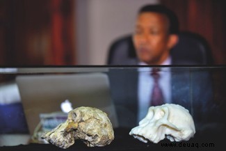 Versteinerter Schädel zeigt Gesicht eines frühen menschlichen Vorfahren 