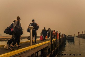 Waldbrände in Australien:Kann man etwas tun, um das Weltfeuer zu stoppen? 