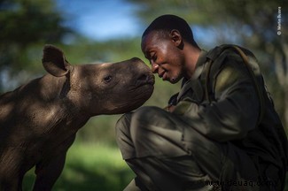 Die Mäuse der Londoner U-Bahn gewinnen den Wildlife Photographer of the Year 2019 LUMIX People s Choice Award 