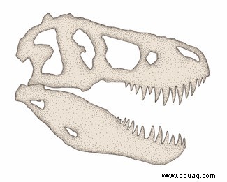 Schauen Sie mit diesen Bildern aus dem Pop-up-Buch Tyrannosaurus Rex in den Schädel eines Dinosauriers 