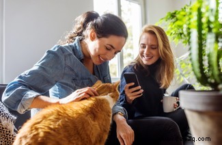 Eine von zehn Hauskatzen hat Trennungsangst 