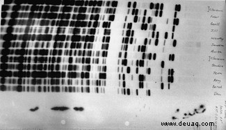 Wie wir die Struktur der DNA entschlüsselt haben 