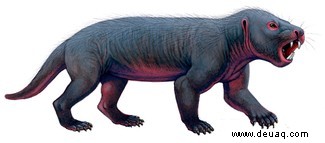 Säugetierevolution:alte Säugetiere, die im Zeitalter der Dinosaurier lebten 