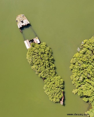 Das Leben findet einen Weg:wenn die Natur verlassene Orte zurückerobert 