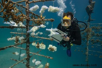 Treffen Sie die Wissenschaftler, die extreme Anstrengungen unternehmen, um den Klimawandel zu untersuchen 