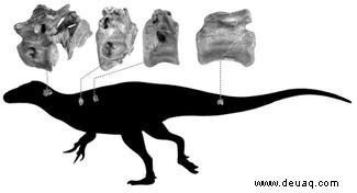 Neue Dinosaurierart auf der Isle of Wight entdeckt, ein Verwandter des Tyrannosaurus rex 