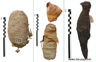 Mumifizierte Tiere 2.000 Jahre nach dem Tod 3D-gescannt 
