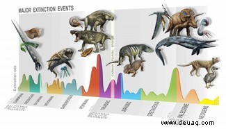 Das neu entdeckte Massensterben ebnete den Weg für Dinosaurier 