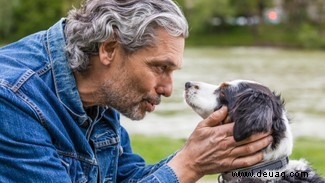 Neun Dinge, die Sie laut Wissenschaft nicht über Hunde wussten 