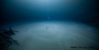 Ein Mob von Mobula-Rochen gewinnt die Ocean Photography Awards 2020 