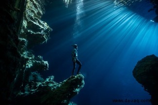 Ein Mob von Mobula-Rochen gewinnt die Ocean Photography Awards 2020 