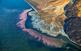 Ein Hai mit Herz gewinnt Drone Photo Awards 2020 