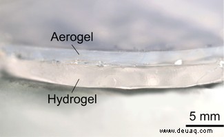 Wüstenkamele inspirieren eine neue Kühltechnologie 