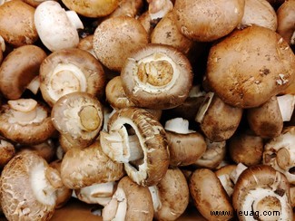 Fünf unglaubliche Fakten über Pilze, die wir von Merlin Sheldrake gelernt haben 