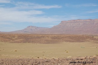 Wissenschaftler entdecken 480 Millionen Jahre altes „fehlendes Glied“ in der Evolution der Seesterne 