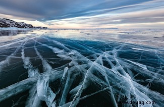 Der gespenstische Polarfuchs und eine Schnecke auf einer Mission gewinnen die Auszeichnung „Reisefotograf des Jahres“. 