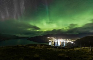 Der gespenstische Polarfuchs und eine Schnecke auf einer Mission gewinnen die Auszeichnung „Reisefotograf des Jahres“. 