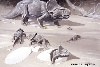 Dinosaurier-Rüschen dienten dazu, Partner anzuziehen, nicht zum Schutz 