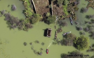 In Bildern:Der Moment, in dem kenianische Naturschützer eine gestrandete Giraffe per Boot retteten 