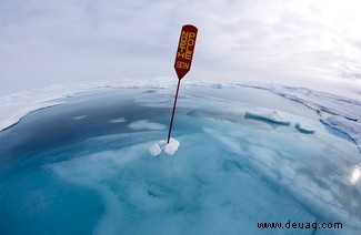 Auf dünnem Eis:Die Gewinner des RPS-Wissenschaftsfotografen des Jahres wurden bekannt gegeben 