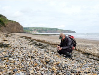 Wie man in Großbritannien nach Fossilien sucht 