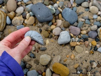 Wie man in Großbritannien nach Fossilien sucht 