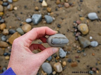 Wie man in Großbritannien nach Fossilien sucht 