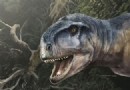  Einer, der Angst macht :Neu entdeckter Dinosaurier war ein Top-Raubtier 