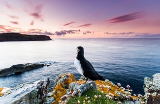 Die unsichtbare, atemberaubende Seite des britischen Meereslebens, erzählt auf 11 Fotos 