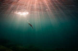 21 unglaubliche Bilder vom Vogelfotografen des Jahres 2021 