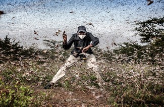 Der seltene schwarze Panther, der seit 100 Jahren nicht mehr in Afrika gesehen wurde:Sony World Photography Awards 2021 