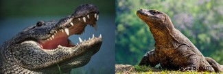 Der Alligator-ähnliche Kiefer von T. rex half ihm, durch Knochen zu beißen 