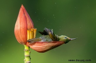 Alle Augen offen:20 großartige Bilder aus dem Fotowettbewerb „Nature Through The Lens“. 