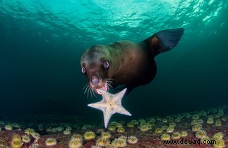 Alle Augen offen:20 großartige Bilder aus dem Fotowettbewerb „Nature Through The Lens“. 