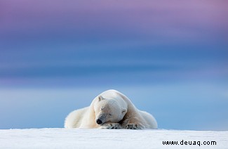 Alle Augen offen:20 großartige Bilder aus dem Fotowettbewerb „Nature Through The Lens“. 