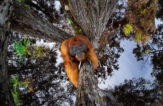 Alle Augen offen:20 großartige Bilder aus dem Fotowettbewerb „Nature Through The Lens“. 