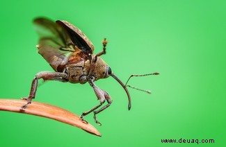 Alle Augen offen:20 großartige Bilder aus dem Fotowettbewerb „Nature Through The Lens“. 