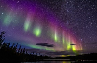 Alle Augen offen:20 großartige Bilder aus dem Fotowettbewerb „Nature Through The Lens“. 