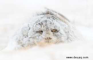 Alle Augen offen:20 großartige Bilder aus dem Fotowettbewerb „Nature Through The Lens“. 