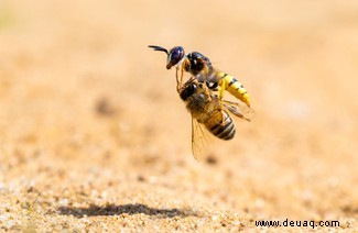 Alle Augen offen:20 großartige Bilder aus dem Fotowettbewerb „Nature Through The Lens“. 