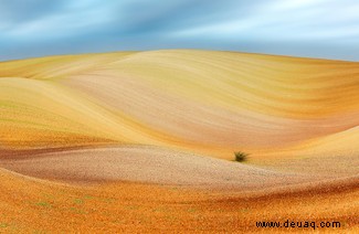 Alle Augen offen:20 großartige Bilder aus dem Fotowettbewerb „Nature Through The Lens“. 