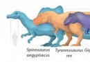 Top 5 der größten (und kleinsten) theropoden Dinosaurier 
