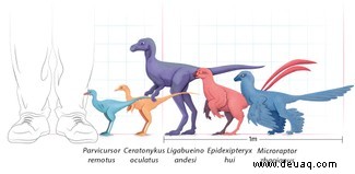 Top 5 der größten (und kleinsten) theropoden Dinosaurier 